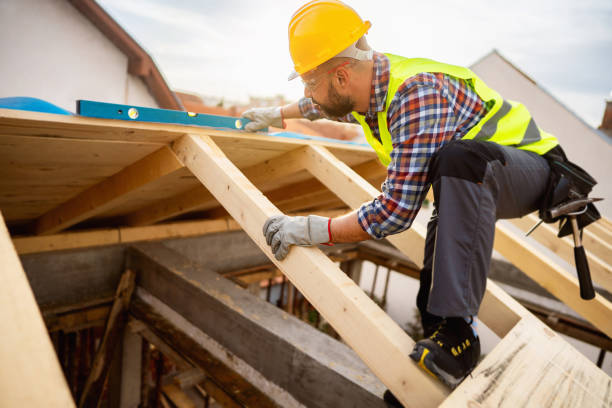 Best Roof Gutter Cleaning  in Hot Springs, AR